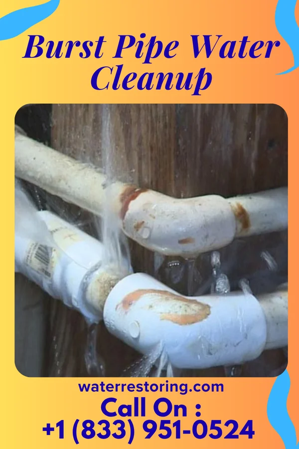 Burst Pipe Water Cleanup in Culpeper, VA