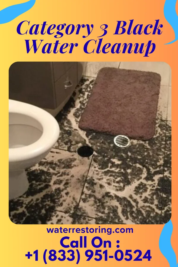 Category 3 Black Water Cleanup in Culpeper, VA