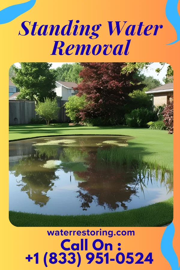 Standing Water Removal in Culpeper, VA